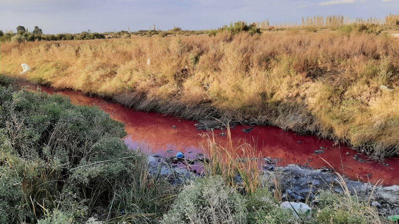¿Se devela el misterio del agua roja en Sarmiento?