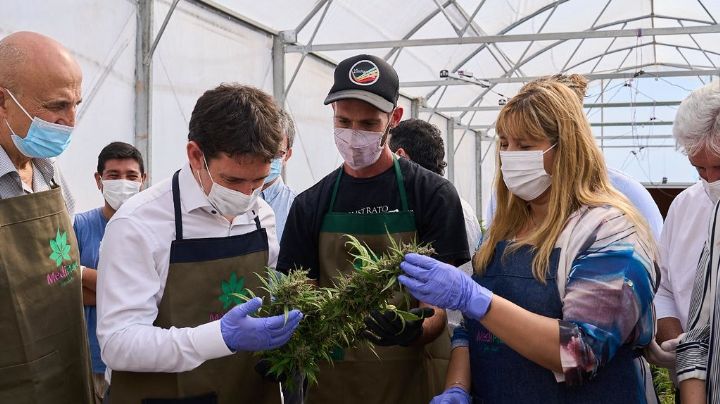Aprobaron la capacitación de profesionales sanjuaninos en cannabis medicinal