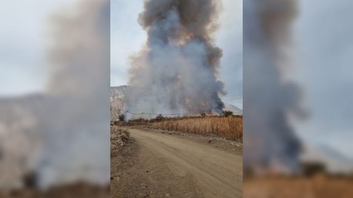 Impactantes imágenes: se desató un incendio en el Parque Sarmiento