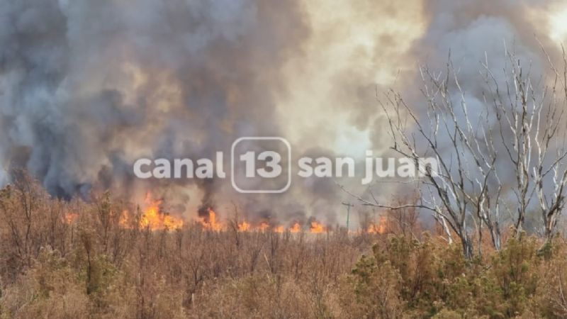 Brutal incendio en el Parque Sarmiento: ¿qué habría iniciado el fuego?