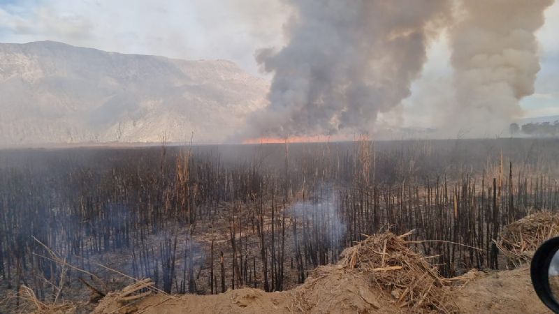 Incendio en el Parque Sarmiento: se quemaron entre 30 y 40 hectáreas