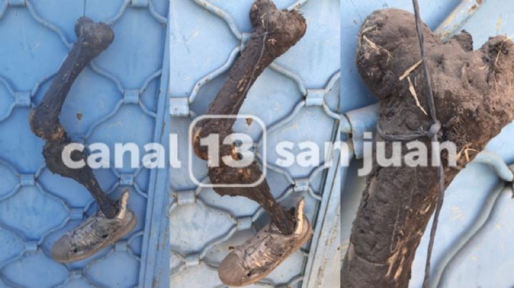 Aterrador: hallaron los huesos de una pierna colgados en un portón