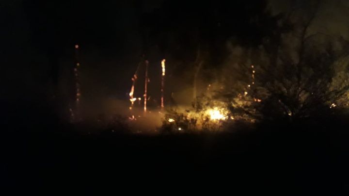 Cerca del Parque Sarmiento, el zonda hizo arder unos pastizales