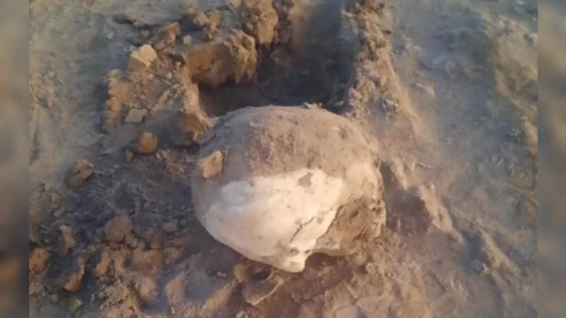 ¿El cráneo es de Raúl Tellechea?: se retrasó el resultado del ADN