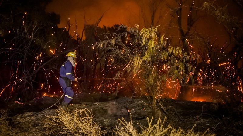 Finalmente lograron contener el incendio en el Parque Sarmiento: cinco familias evacuadas