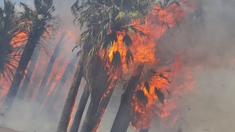 Los incendios en calle 11 y ruta 40 afectaron 5 hectáreas