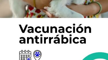Vacunación antirrábica: conocé los 4 puntos de abordaje en Capital