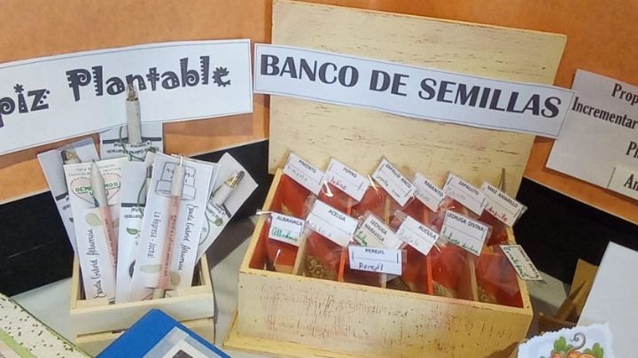 ¿Un banco de semillas?: la innovadora propuestas de pequeños jachalleros