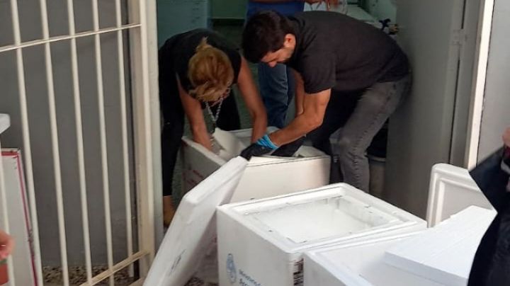 COVID-19: San Juan recibió más de 14 mil dosis de vacunas bivariantes de Pfizer