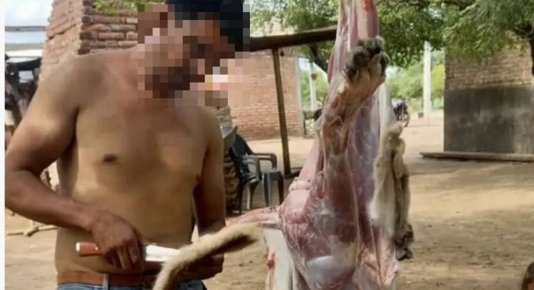 "Milanesa" se hizo viral: cazó, mató y se comió a un puma, ¿por qué?