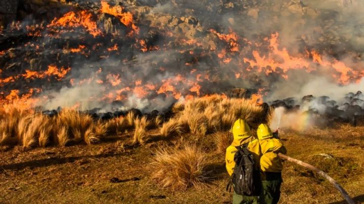 Fuego en Córdoba: "el 90% del origen de los incendios siguen siendo los humanos"