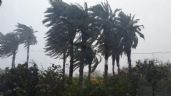 Clima de locos: ahora emitieron un alerta meteorológico por Viento Sur