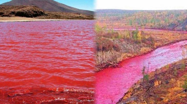 Cómo dice la Biblia el Río Nilo se tiñó de rojo
