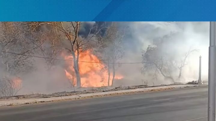 En Ullum trabajaron 14 horas para extinguir un incendio en San Juan de Los Olivos
