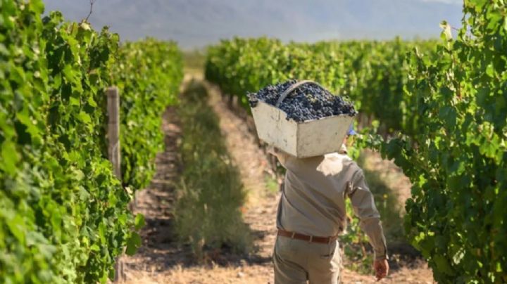 San Juan y Mendoza llegaron a un acuerdo esencial para la vitivinicultura