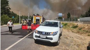 Chile decretó "alerta roja": la ola de calor causó gran cantidad de incendios forestales