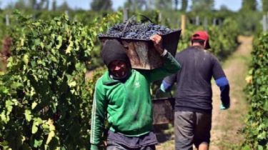 Trabajadores de viña y bodega cerraron acuerdo salarial con aumentos bimestrales