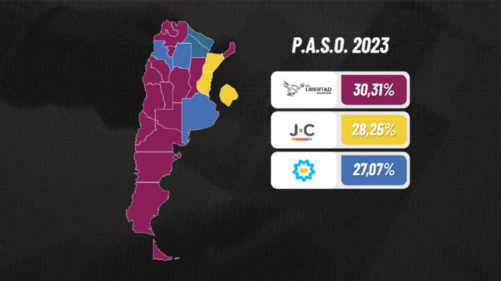 Provincia por provincia: cómo llegó Milei a ser el mas votado de las PASO