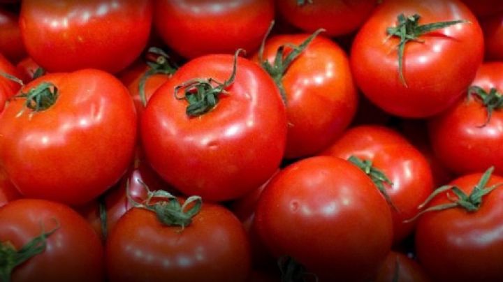 El tomate sanjuanino se convirtió en el favorito de Paraguay