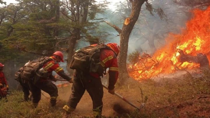 Recompensa millonaria a quien aporte datos sobre el incendio en el Parque Nacional Los Alerces