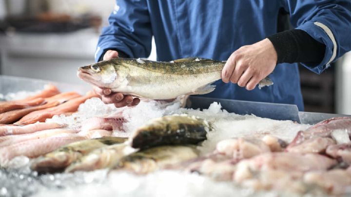 Previa a la Semana Santa, Salud salió a controlar la venta de pescados