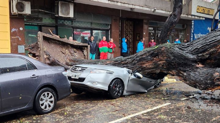 Llueve en Buenos Aires: hay alerta rojo, daños materiales y miles de evacuados